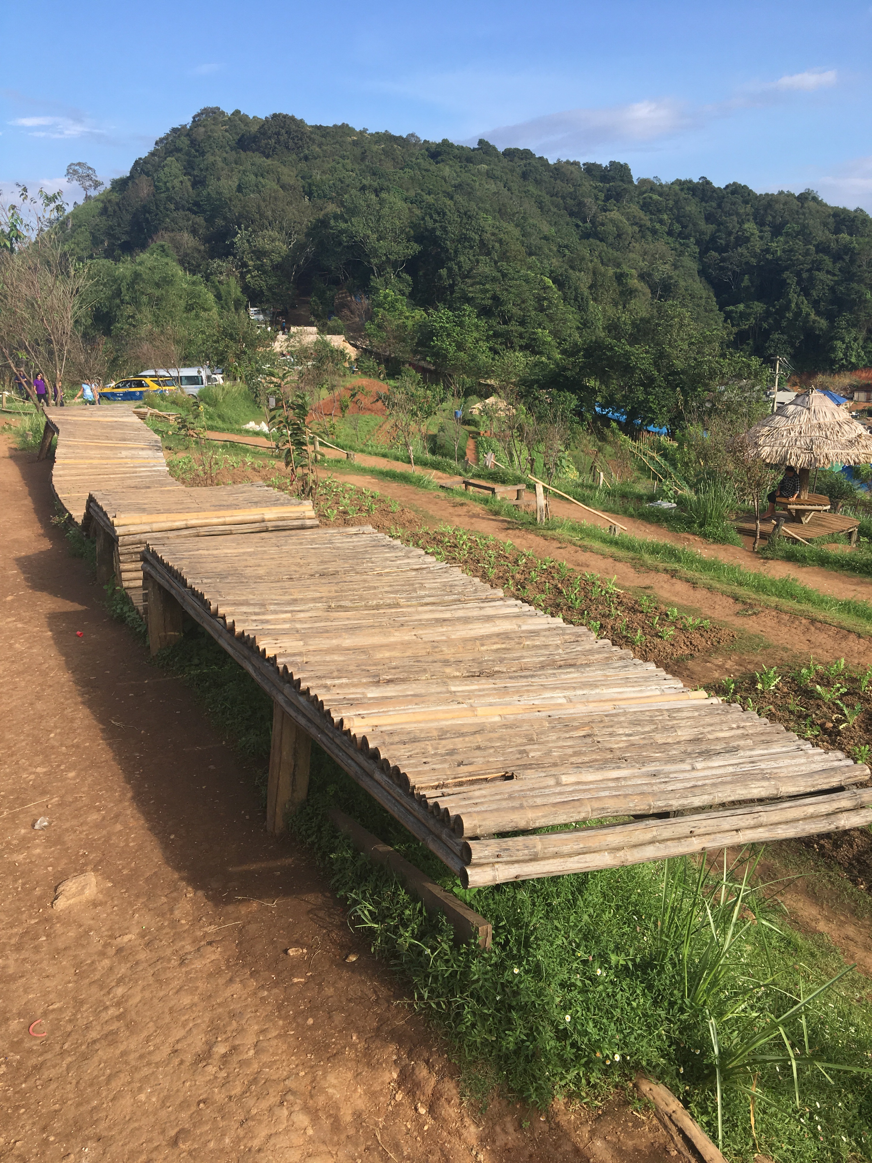 The benches of Doi Mon Cham